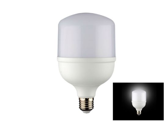 Noas 20W Torch Led Ampül