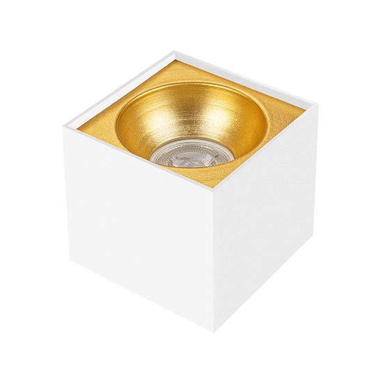 Asya Kare Spot Kasası (Beyaz-Gold)
